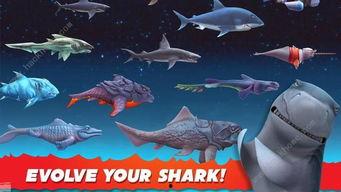 饥饿鲨进化最新鲨鱼爆料,全新鲨鱼物种震撼登场！